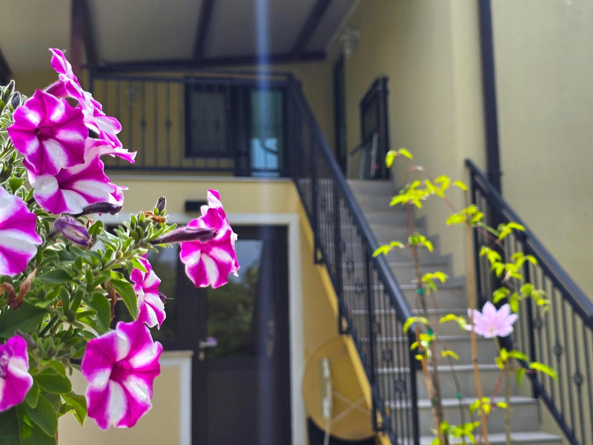 Keser Apartments Rovinj Exterior foto
