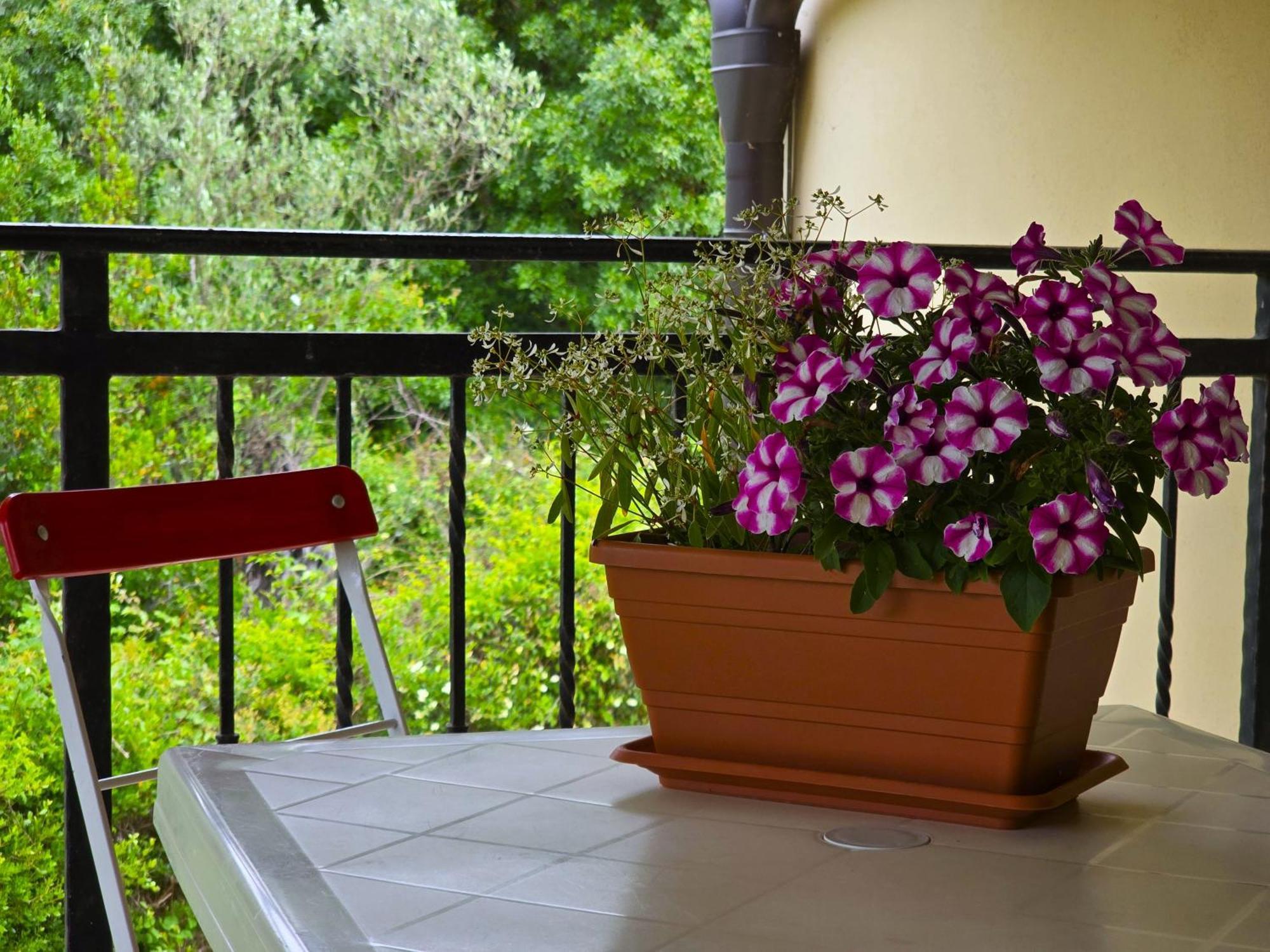 Keser Apartments Rovinj Exterior foto